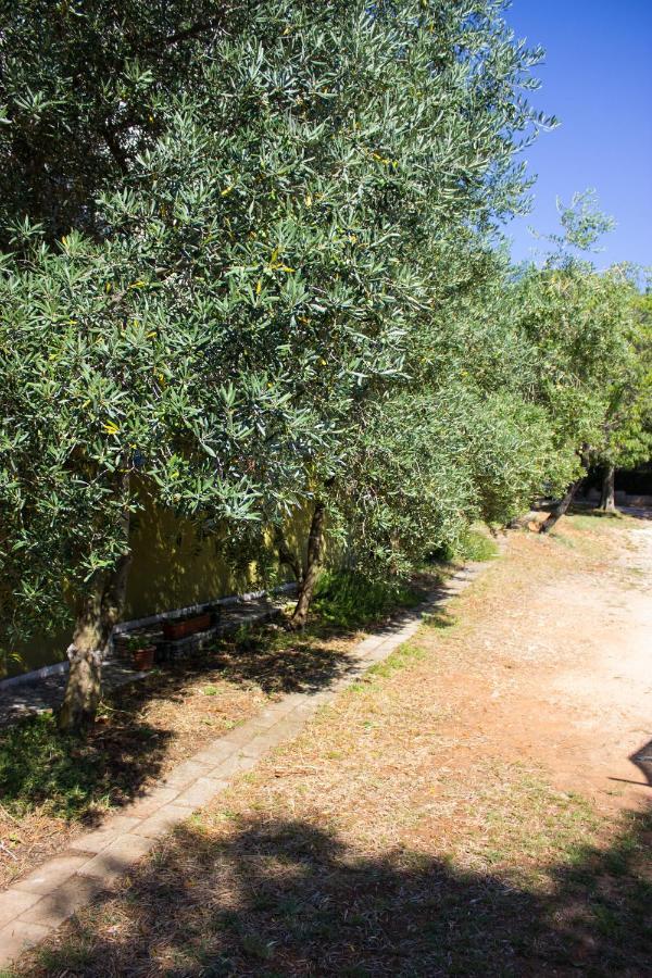 Bilini Garden Appartement